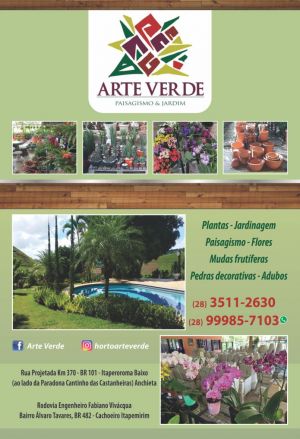 Arte Verde Paisagismo e Jardim