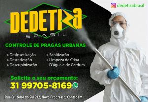 Dedetizadora Dedetiza Brasil