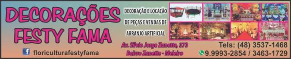 Decorações Festy Fama