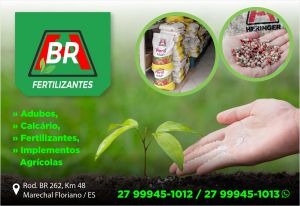 BR Fertilizantes