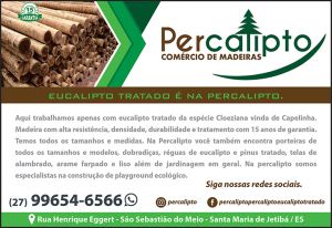 Percalipto Comércio de Madeiras