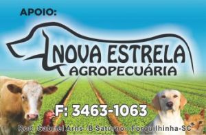 Nova Estrela Agropecuária